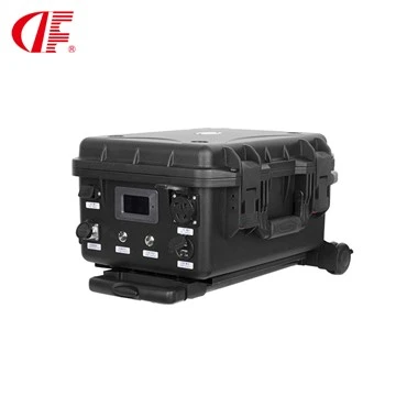 DF-1000W Tensió de CC 12V 24V 1000W Font d'alimentació exterior UPS d'emergència en línia o fora de línia per a l'exportació a Europa i EUA